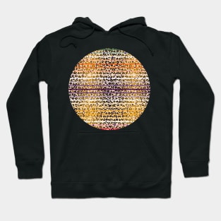 Colourful gradient unique flowers leopard stripes abstract modern 243 Pattern Hoodie